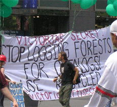 Man walking in a New York City street carrying a video camera, looking away toward a banner, supported by 40 green balloons, that reads, "Victoria's Secret: Stop Logging Forests for Catalogs! Use Recycled!"