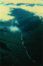 River valley from the air, surrounded by forests, with clouds rising from the mountain