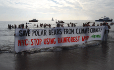 Banner reading “Save Polar Bears from Climate Change – NYC Stop Using Rainforest Wood – rfny.net" held by four people, wearing polar bear caps, standing in the shallow surf, with a police boat in the background