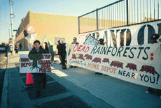 People holding banners outside a gate with a Home Depot store in the background. One large banner states, "Dead Rainforests: Coming to a Home Depot Near You!"