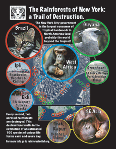 Poster with satellite image of southern Manhattan and western Brooklyn, with colored circles, surrounded by images of animals: an ocelot, a chimpanzee, an orangutan and a harpy eagle.
