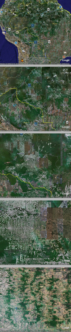 FIve images showing, from top to bottom, satellite images of the Amazon in the state of Rond�nia. As the images progress, the destruction is more apparent, with patches of brown amongst the green of the forest