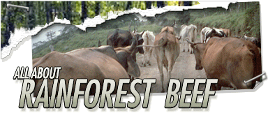 Rainforest Beef Header Graphic